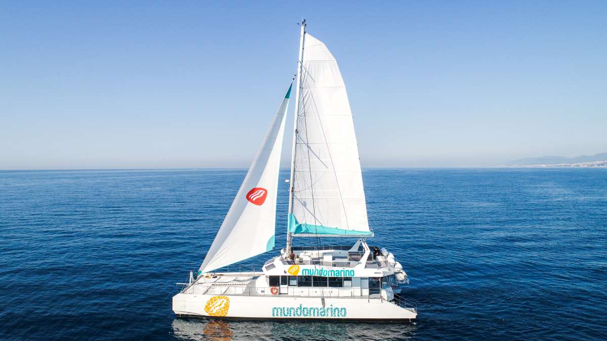 Catamarán Mundo Marino navegando